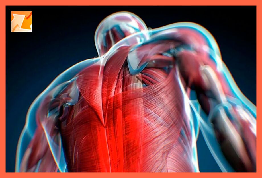 Vlastnosti nepohodlí